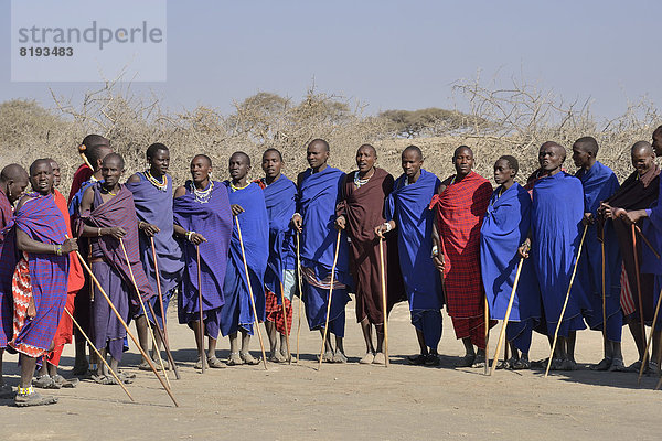 Massai-Männer beim Tanz