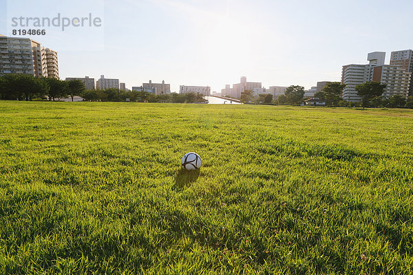 Fußball Wiese Ball Spielzeug