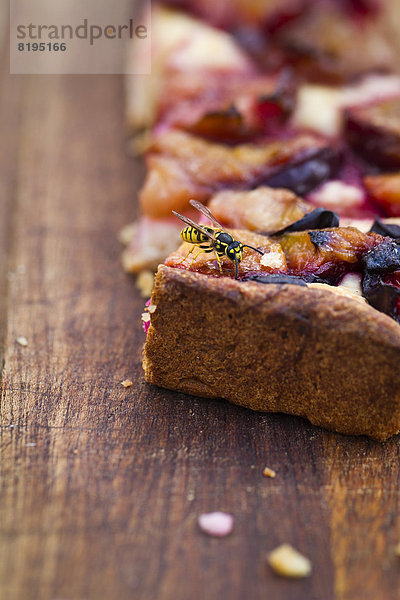 Wespe frisst Krümel von einem Pflaumenkuchen