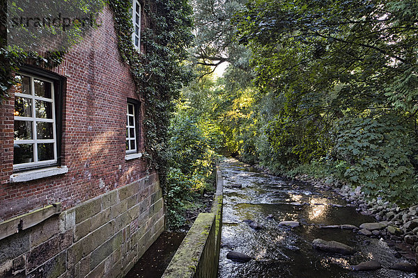 Wulfsmühle an der Pinnau  Schleswig-Holstein  Deutschland  Europa