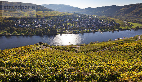 Deutschland  Rheinland-Pfalz  Blick auf die Weinberge von Punderich