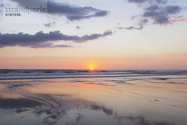 Neuseeland  Blick auf Piha Beach bei Sonnenuntergang
