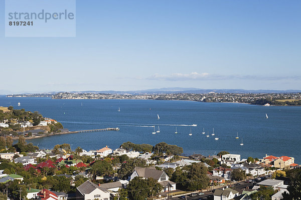 Neuseeland  Auckland  Blick auf St. Heliers Bay