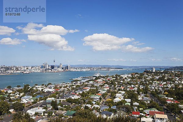 Neuseeland  Blick auf die Skyline von Auckland