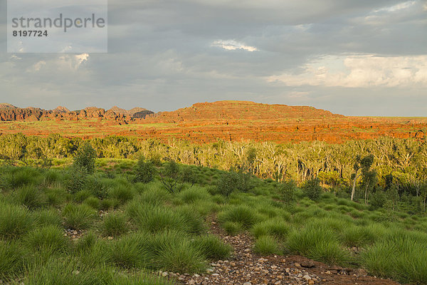 Australia  Western Australia  View of landscape at Kimberley