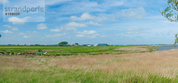 Germany  Schleswig Holstein  View of landscape with wind turbine in background