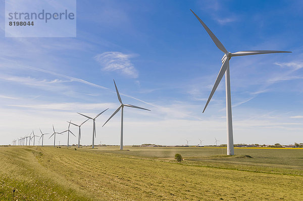Germany  Schleswig-Holstein  View of wind turbine in fields