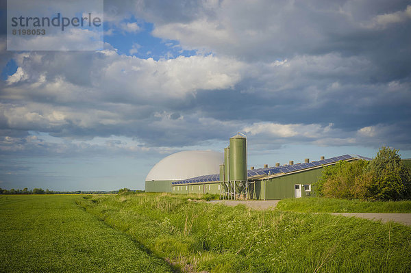 Deutschland  Schleswig-Holstein  Ansicht des Solarpanels auf dem Dach
