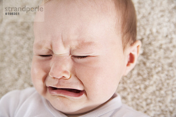 Germany  North Rhine Westphalia    Baby girl crying  close up