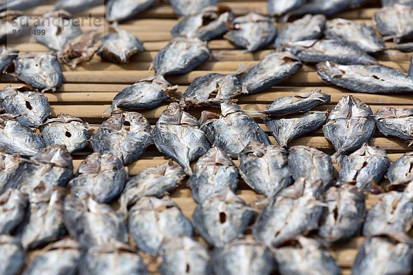 Trockenfisch auf einem Markt in Tagbilaran  Bohol  Philippinen