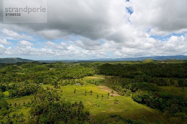 Typische Landschaft auf Bohol  Philippinen