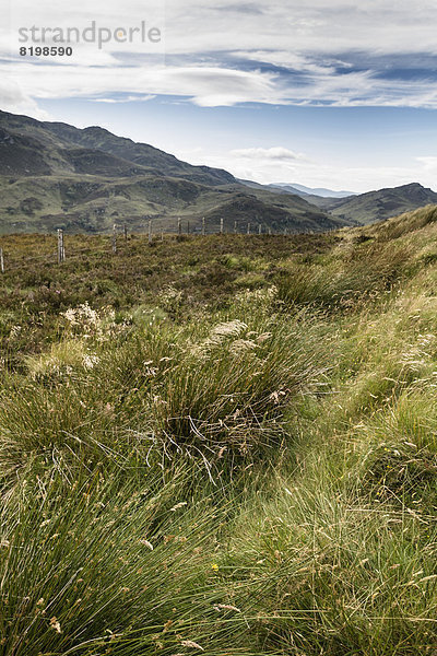 Schottland  Blick auf die schottische Landschaft vom Aussichtspunkt Suidhe aus