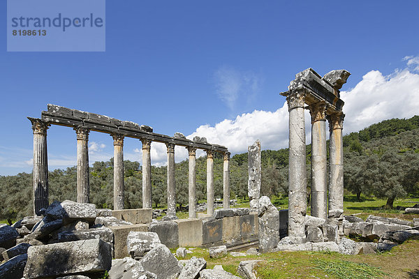 Türkei  Milas  Blick auf den Zeus-Tempel