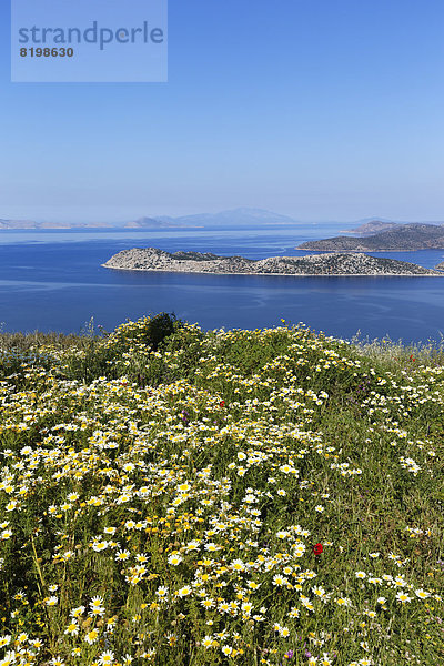 Türkei  Blick auf die Girlande Chrysantheme an der Küste