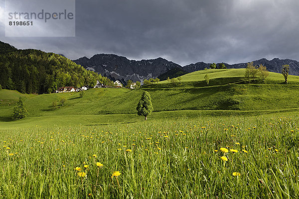 Österreich  Kärnten  Blick auf das Dorf bei Karawanken