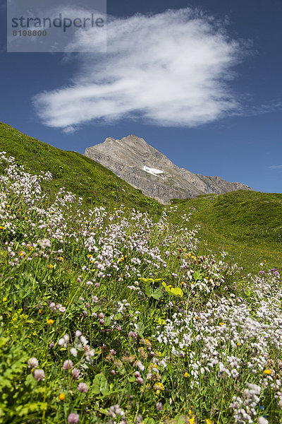 Austria  Mooserboden with peak Kitzsteinhorn