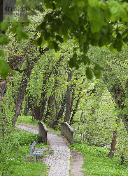 Deutschland  Bayern  Regensburg  Blick auf Park mit Holzbrücke