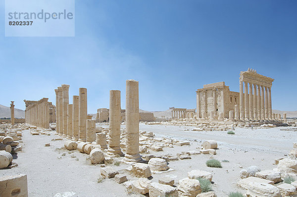 Tempel des Baal  Ruinen in der antiken Stadt Palmyra