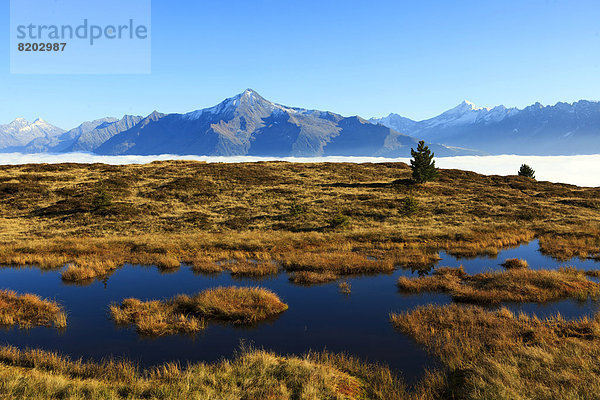 Hochmoor im Zillertal über dem Nebel