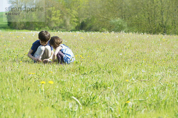 Kinder pflücken Wildblumen auf der Wiese