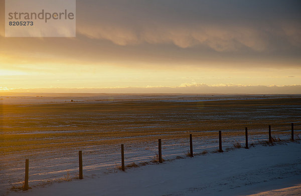 Ländliches Motiv  ländliche Motive  Tischset  Landschaft  über  Schnee  Saskatchewan  Kanada  Sonne