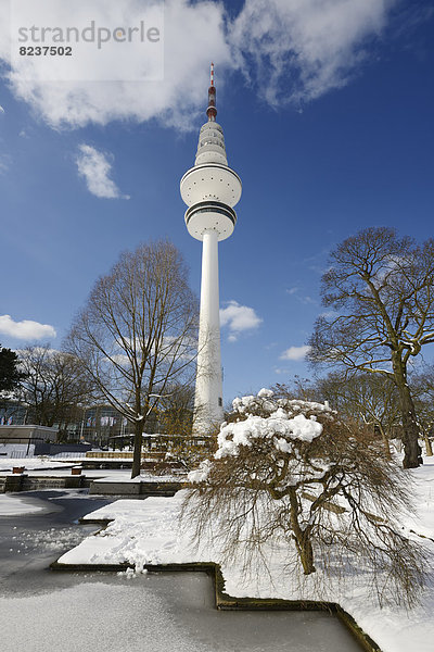 'Zugefrorenes Wasserbecken im Park ''Planten un Blomen''  hinten der Heinrich-Hertz-Turm'
