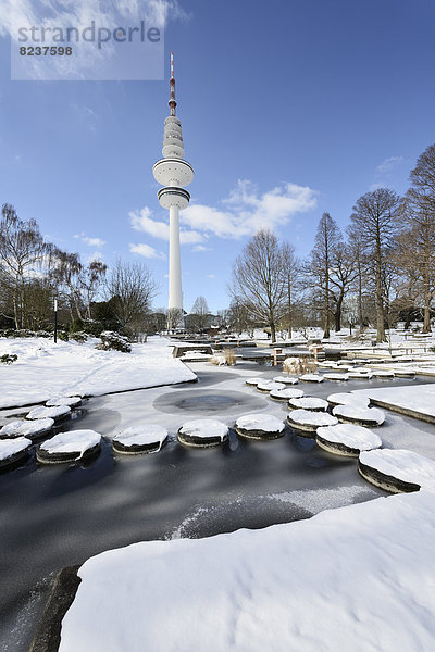 'Zugefrorenes Wasserbecken im Park ''Planten un Blomen''  hinten der Heinrich-Hertz-Turm'