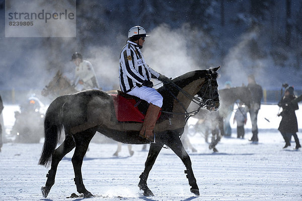 Reiter beim Poloturnier  28. St. Moritz Polo World Cup on Snow  auf dem gefrorenen St. Moritzersee