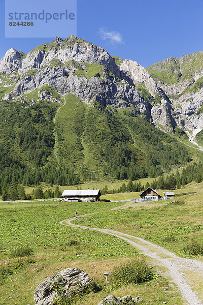 Ingridalm im Frohnbachtal