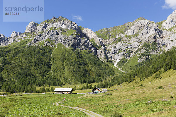 Ingridalm im Frohnbachtal