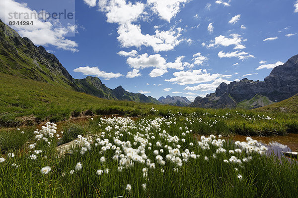 Weiher mit Wollgras  Sicht zum Friaul