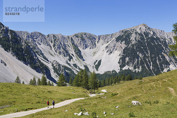 Matschacher Alm mit Hochstuhl  Bärental