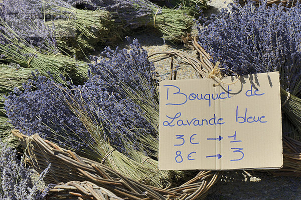 Lavendel zum Verkauf