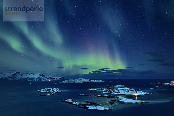 Fjord mit Inseln im Winter und Nordlicht