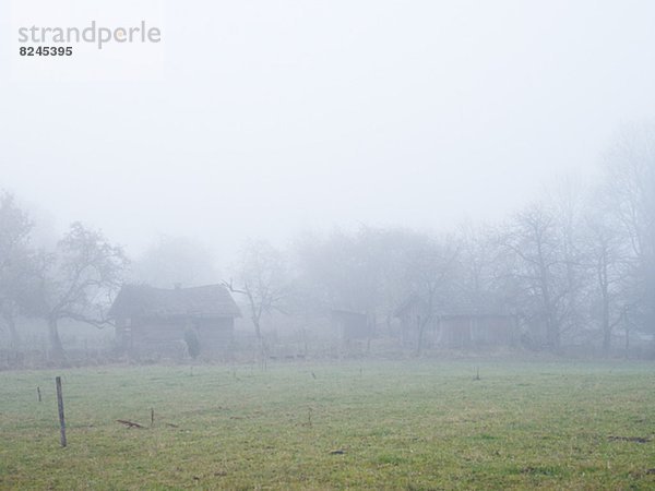 Ländliches Motiv  ländliche Motive  Stilleben  still  stills  Stillleben  Nebel  Scheune  umgeben