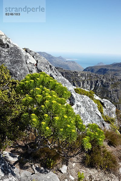 Berg  Landschaft  Tisch