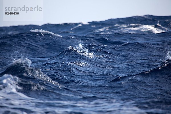 Wasserwelle  Welle  Meer