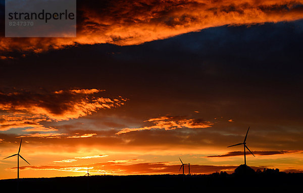 Windturbine Windrad Windräder Sonnenuntergang