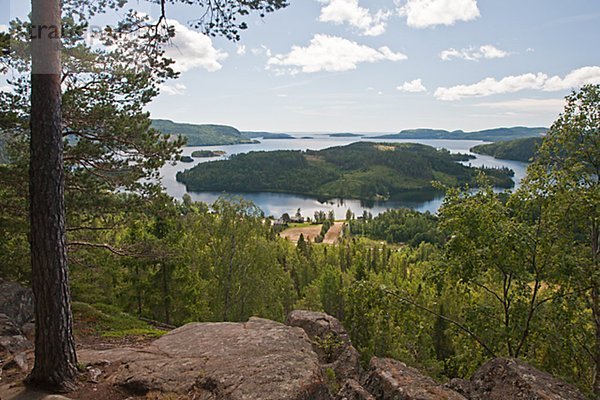 Coastline landscape