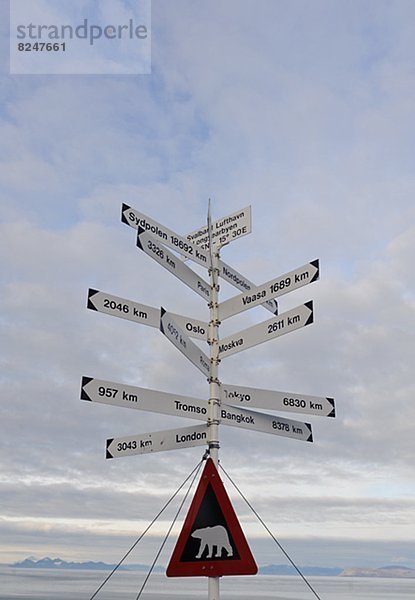 Bär  Ziel  Zeichen  Warnung  Signal