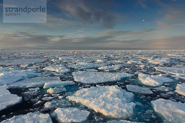 Ozean  Eis  Eisscholle  Arktis