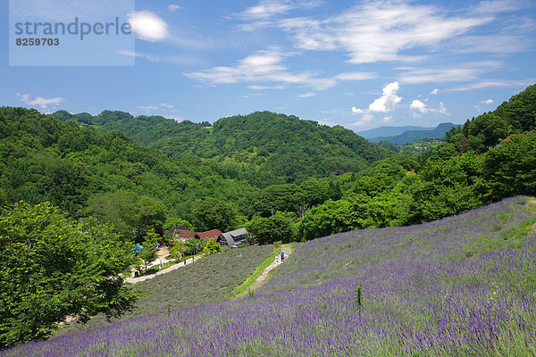 Japan Nagano