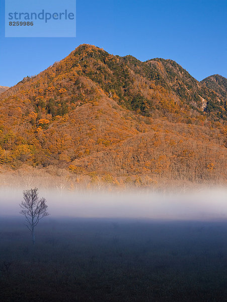 Japan  Tochigi