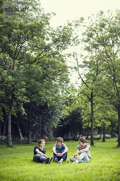 Junge männliche Freunde  die sich auf Rasen im Park entspannen.