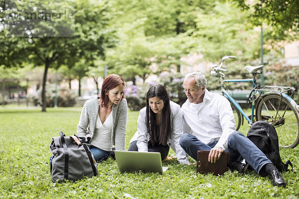 Geschäftsleute  die ihren Laptop benutzen  während sie sich auf dem Rasen im Park entspannen.