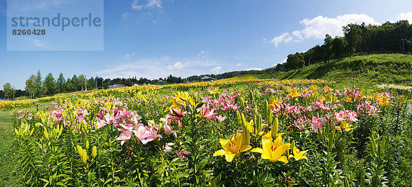 Japan  Nagano