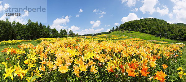 Japan  Nagano