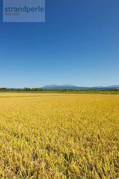 Hokkaido  Japan