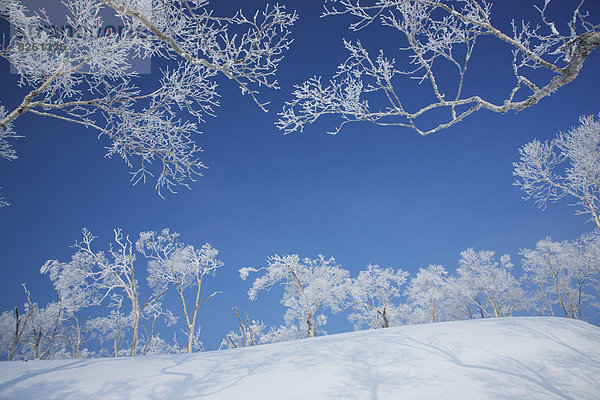 Hokkaido Japan