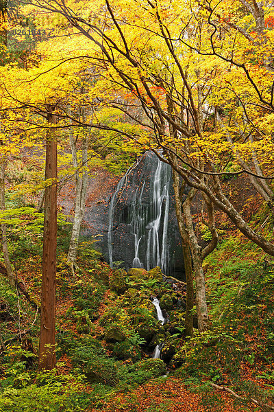 Fukushima  Japan